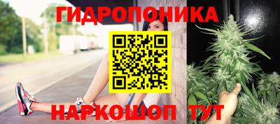 прущие крисы Чебаркуль