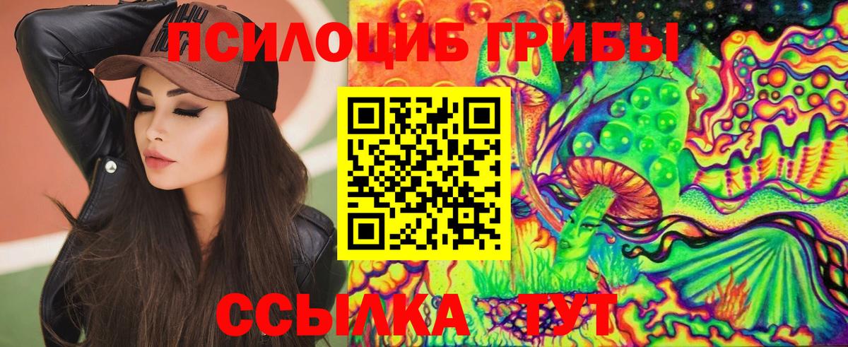 Баксан  где купить наркоту  Вход с VPN  Галлюциногенные грибы ЛСД 